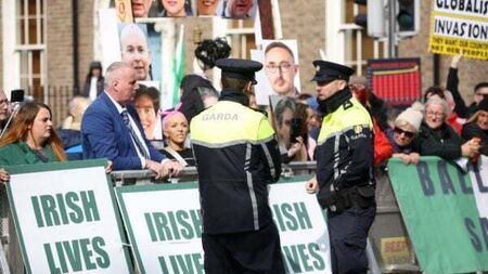 Politicians condemn 'profoundly anti-democratic' protests at Leinster House