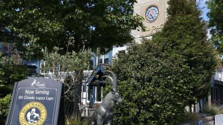 An Bord Pleanála rejects Charlie Chawke's 'pet farm' defence over land-hoarding tax