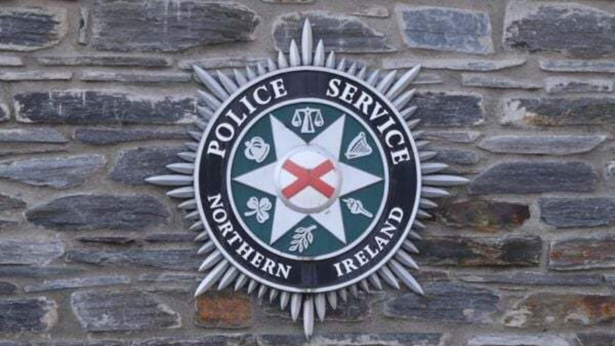 Man dies after being hit by van in Co Tyrone