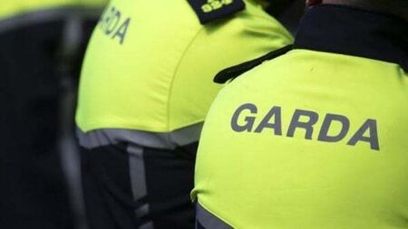 Six gardaí suspended from the force for over four years