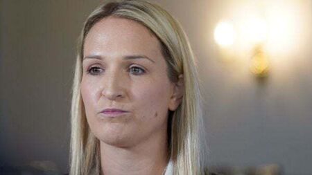 Social media ‘a dark place’, says McEntee as politicians urged to report threats