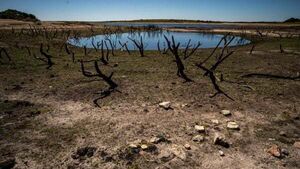 2023 on track to become hottest year on record, says EU climate service