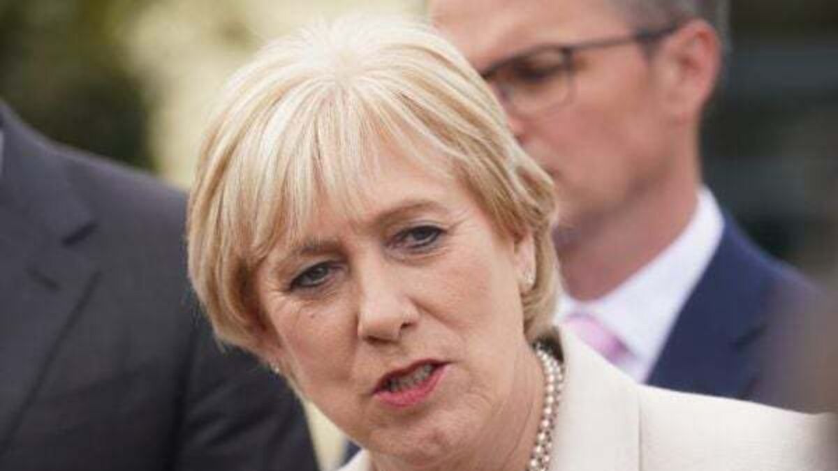 Budget 2024: Across-the-board welfare increases planned, Minister says