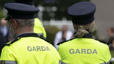 Garda management and associations agree on new interim roster