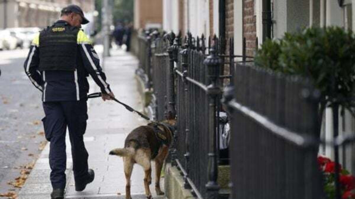Arrest made over entry to Government Buildings amid extra security