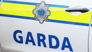 Man who rammed Garda car while high on drugs jailed Man who rammed Garda car while high on drugs jailed