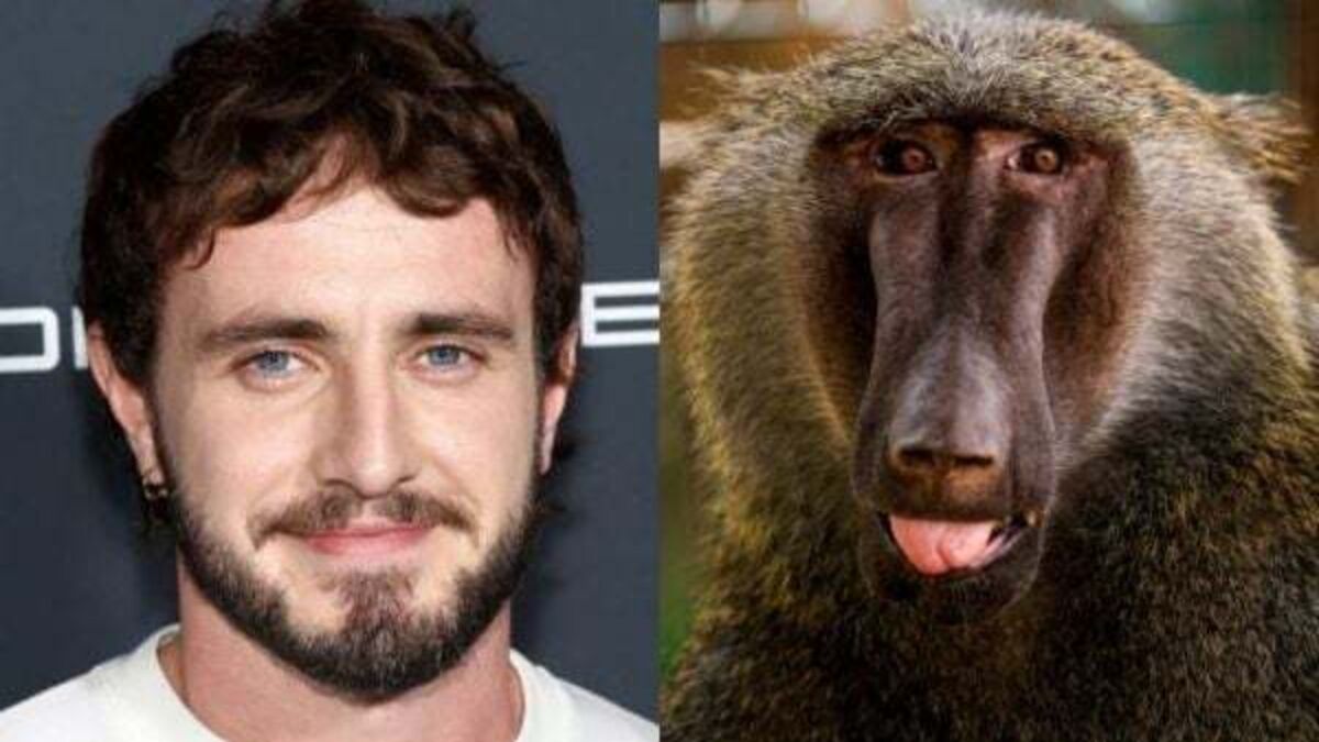Paul Mescal fights pack of baboons in the new Gladiator film