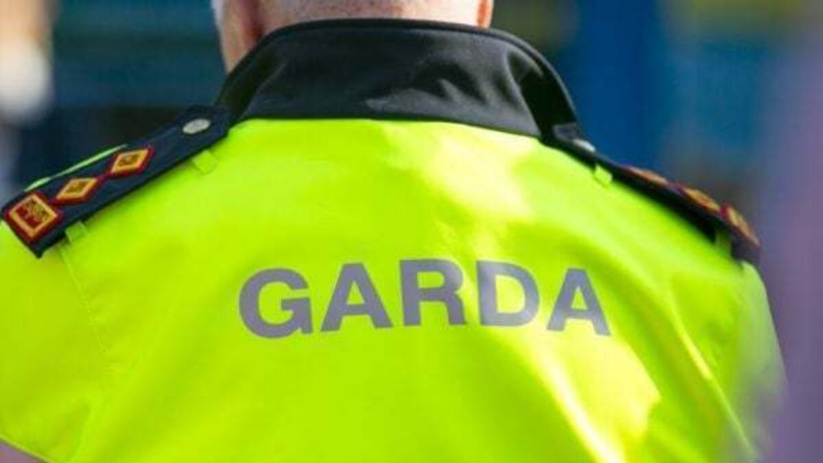 Brave Garda has 'strong desire to return to work' despite suffering life-changing injuries