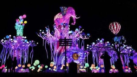 Enchanting display of colour at Dublin Zoo for Wild Lights spectacular