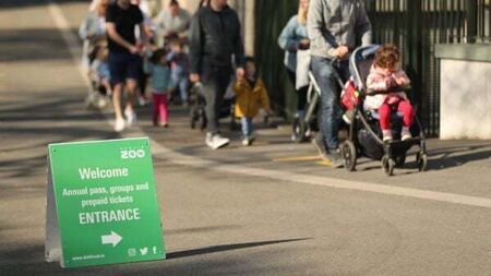 Dublin Zoo rejects claims it paid for director's hot tub while ‘begging for funds’