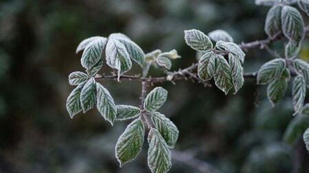 Temperatures to plunge again next week with chance of sleet and hail
