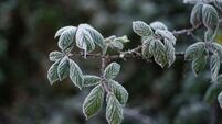 Temperatures to plunge again next week with chance of sleet and hail