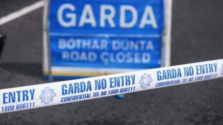 Pedestrian (70s) killed in collision with lorry in Co Laois