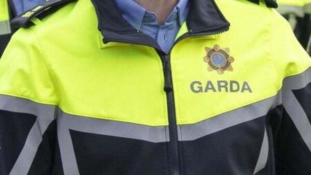 No garda likely to face prosecution over man who had cardiac arrest while being restrained