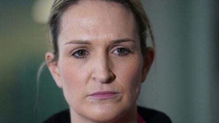 Politics watch: All eyes on no-confidence motion in McEntee