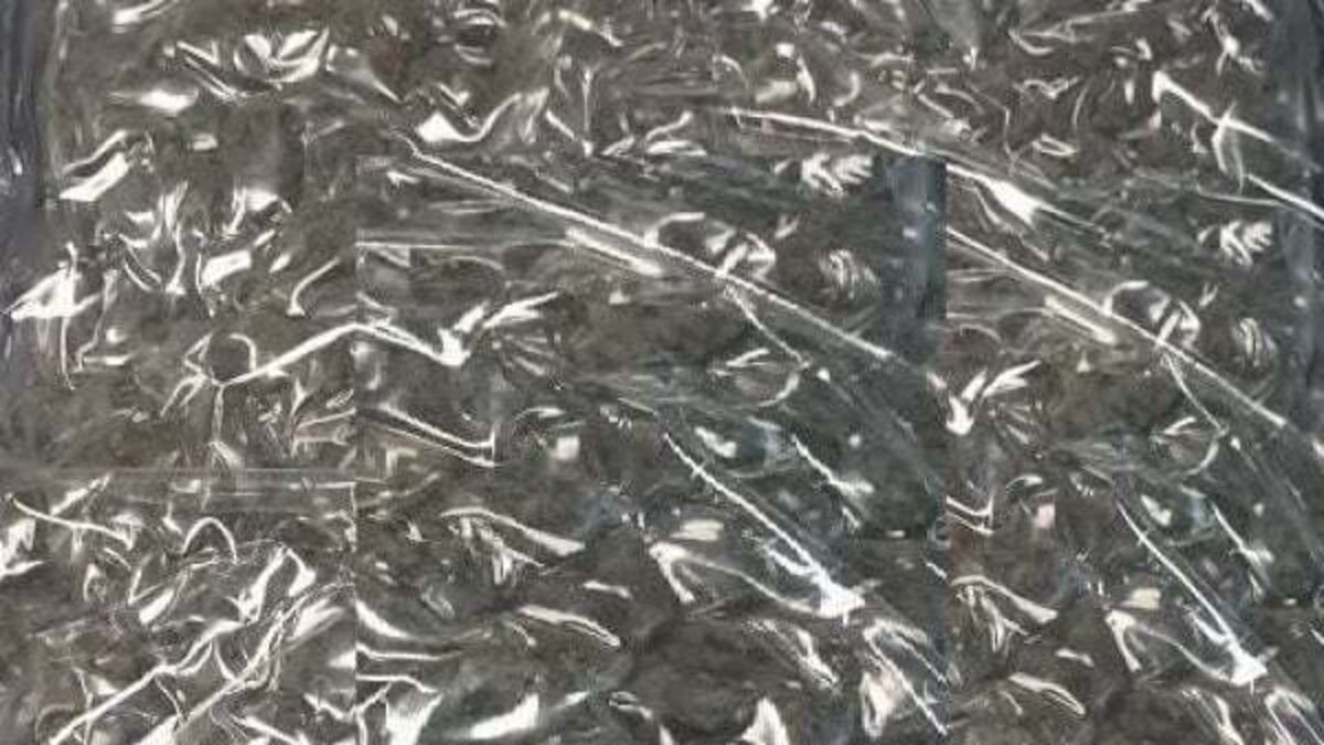 Woman (30s) arrested as gardaí seize cannabis worth €660,000