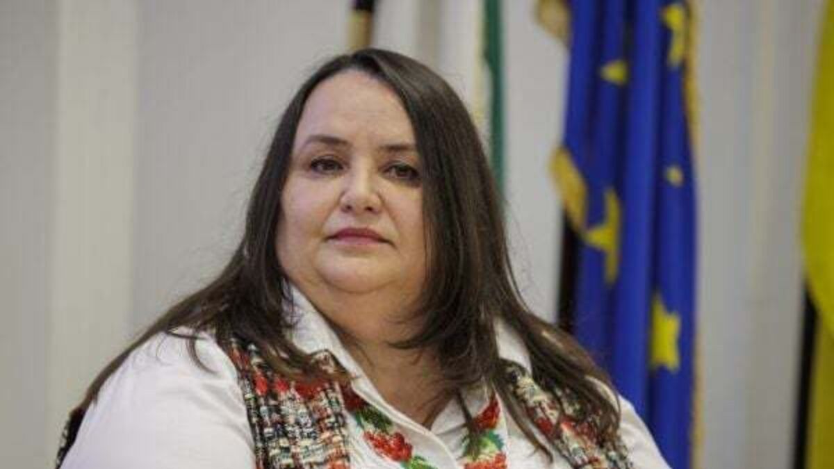 Ambassador ‘understands’ decision to cut support for Ukrainians