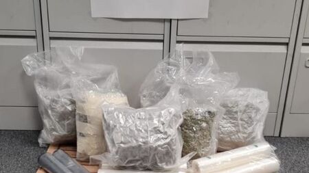 Gardaí seize cannabis worth €500,000 in Tallaght