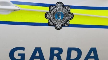 Elderly woman dies following road collision in Co Roscommon
