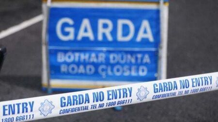 Man (20s) dies after motorway collision in Co Kildare