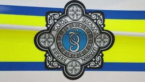 Cannabis worth €611,000 seized in three locations Cannabis worth €611,000 seized in three locations