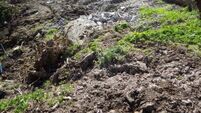 Man fined £50,000 for destroying historic lime kilns