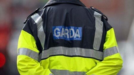Pedestrian dies in collision on M1