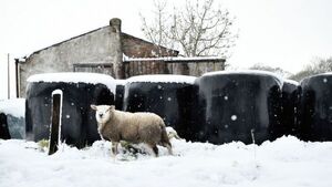 Cold snap continues to bite as temperatures plummet to -6 overnight Cold snap continues to bite as temperatures plummet to -6 overnight