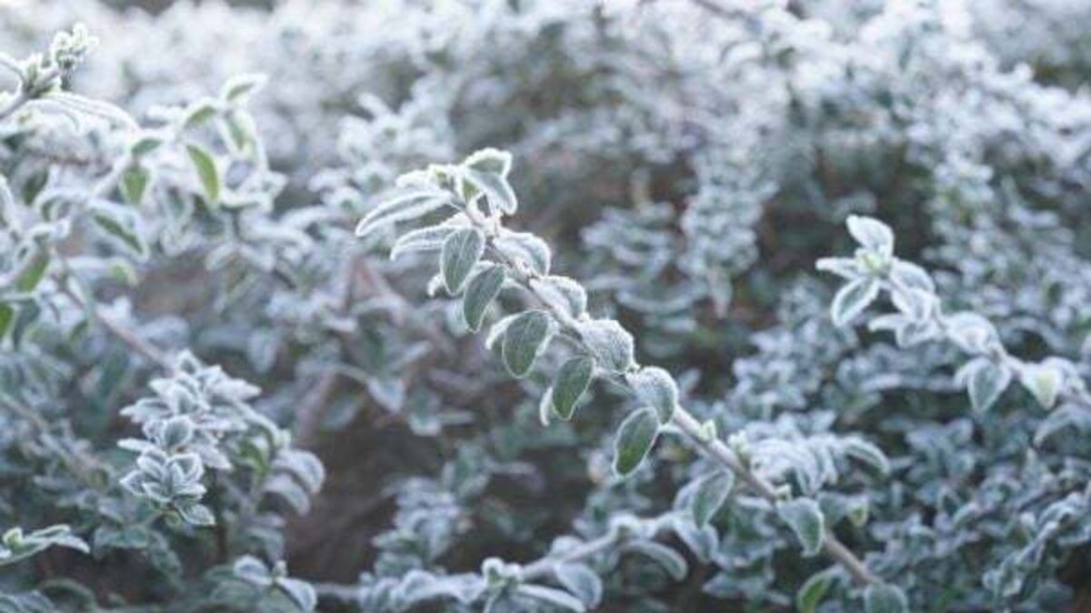 Warnings for further ice and snow as temperatures continue to fall