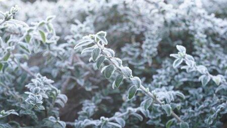 Warnings for further ice and snow as temperatures continue to fall