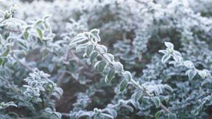 Warnings for further ice and snow as temperatures continue to fall