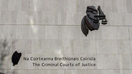 Garda describes moment she found body of severely beaten 79-year-old widower