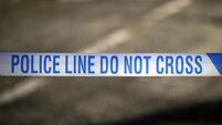 Irish couple and their dog killed in collision with BMW in England