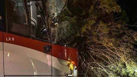 Lucky escape for driver and passengers after tree smashes into bus
