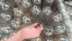 Study finds 95% of people plan to use new deposit return scheme
