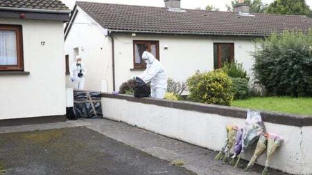 Murder accused was not taking medication months before machete assault, carer tells trial