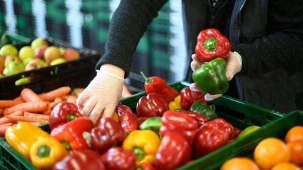 Plant-based diet ‘linked to better sexual health in men with prostate cancer’