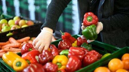 Plant-based diet ‘linked to better sexual health in men with prostate cancer’