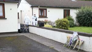 Dublin man receives life sentence for 'ferocious' murder of 'timid and quiet gentleman' Dublin man receives life sentence for 'ferocious' murder of 'timid and quiet gentleman'