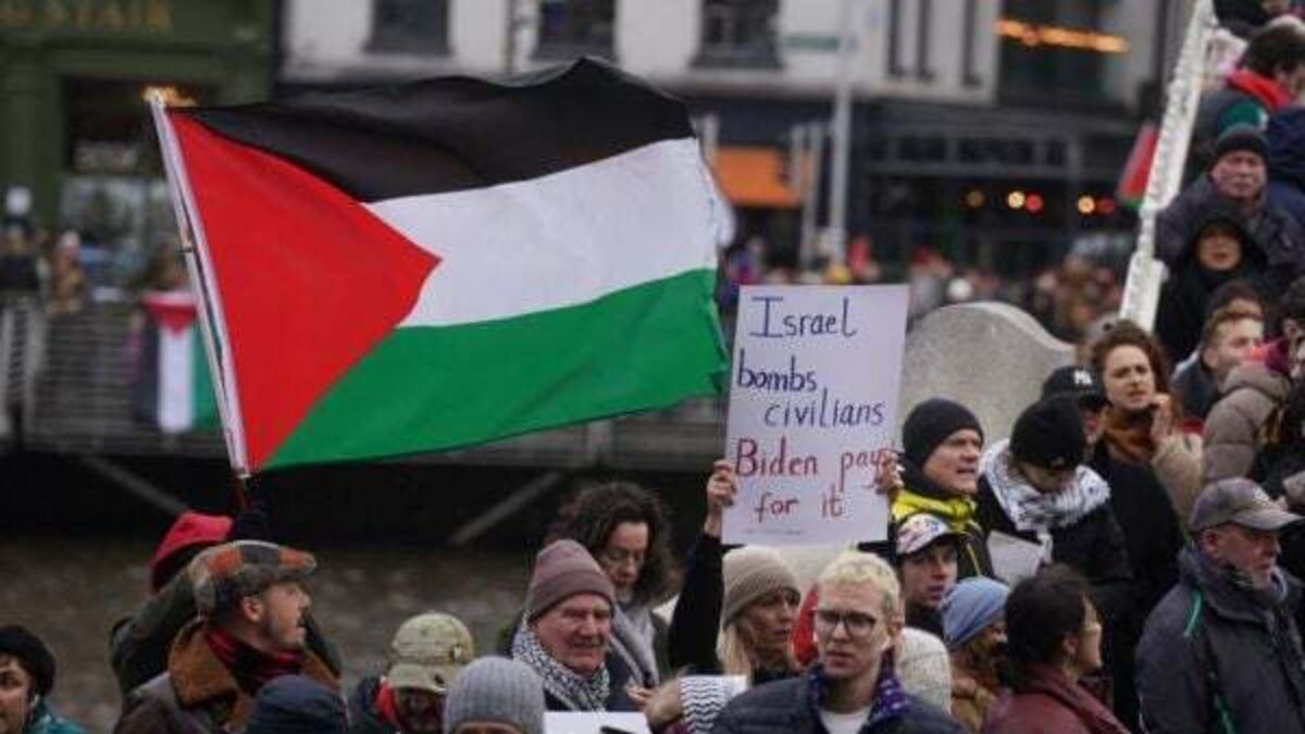 Two men arrested after Pro-Palestine protest in Dublin