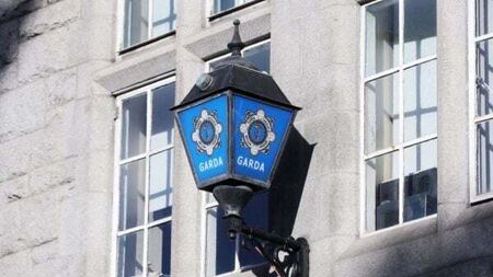 Two people arrested after guns and ammunition seized in Dublin