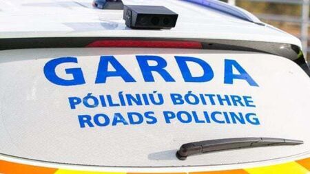 Drink-driver defecated near garda and then tried to smear him with faeces