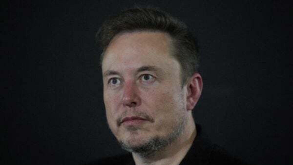 Elon Musk backs Conor McGregor’s call to vote 'no-no' in upcoming referendums