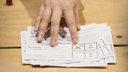 Quiz: How much do you know about Ireland's past referendums?
