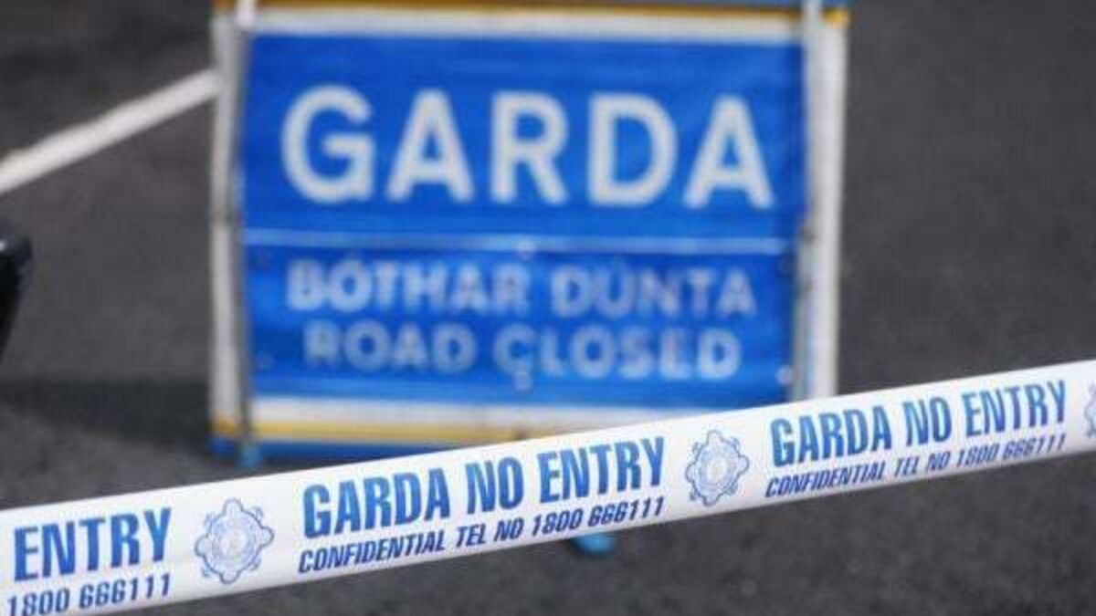 Man (20s) dies after road crash in Co Louth