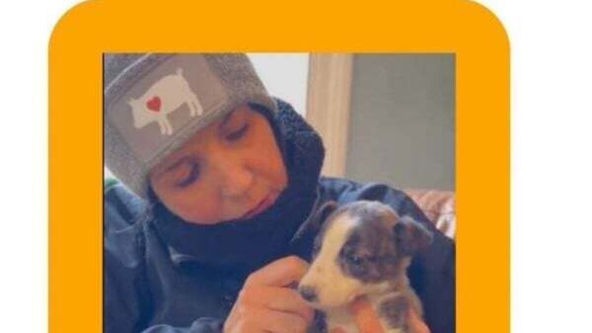 Animal charity rescues puppy being 'traded for drugs' in Dublin city centre