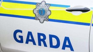 Gardaí arrest man after search for yellow van ends in Co Mayo Gardaí arrest man after search for yellow van ends in Co Mayo
