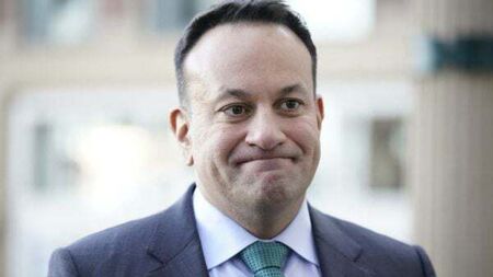 Taoisech admits it will be 'challenging' for Fine Gael to retain European seats