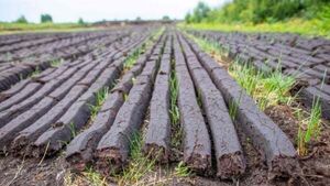 Ireland will take bog conservation ‘massively seriously’, says McConalogue