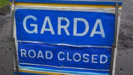 Gardaí and Gsoc investigating fatal hit-and-run in Louth